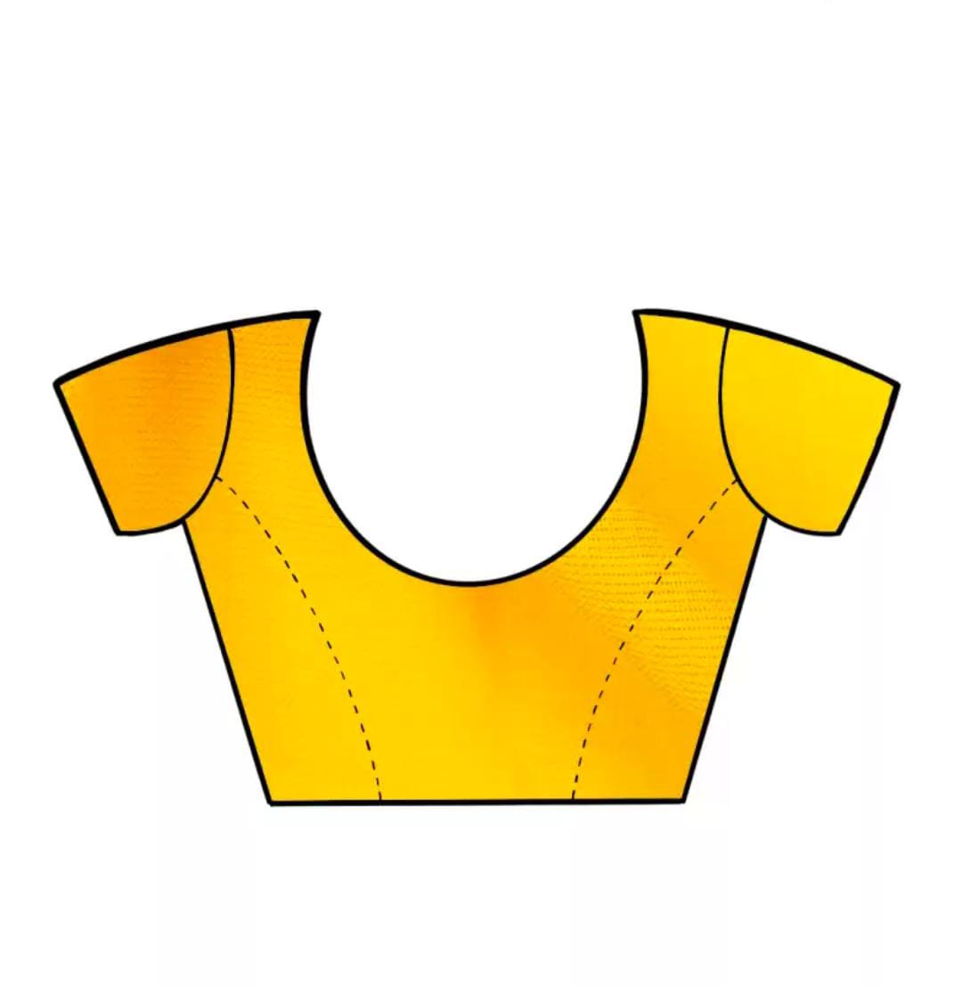 Stylum Color block Glitter Printed Saree